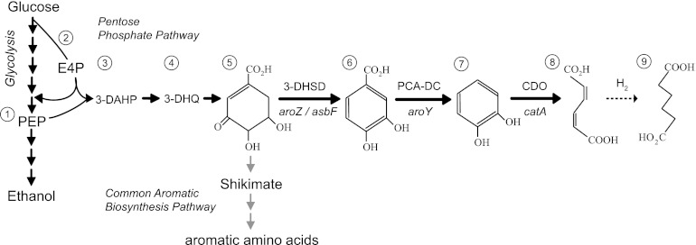 Fig 1