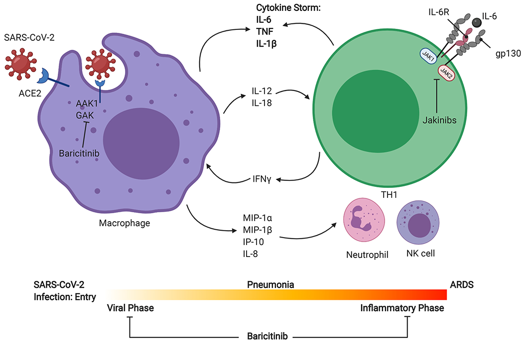 Figure 2: