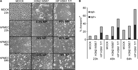 FIG. 4.