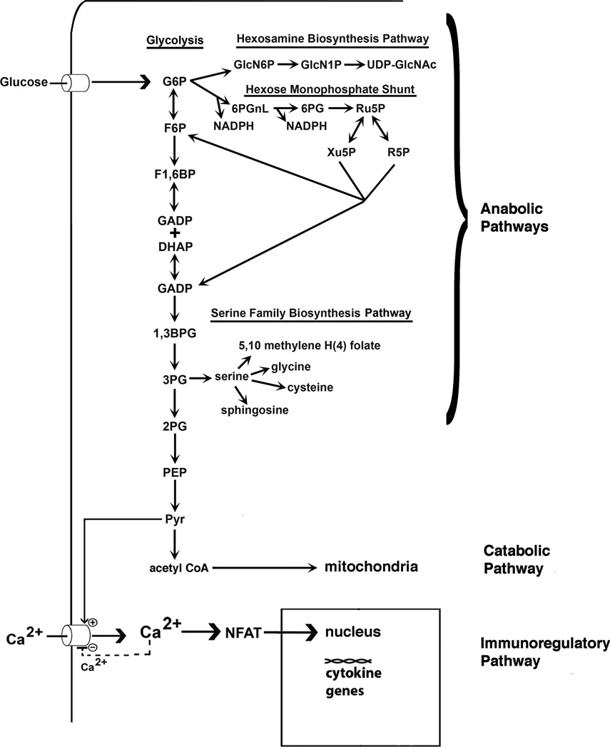 Fig. 9