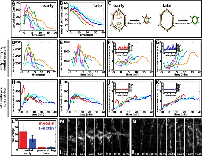 FIGURE 6: