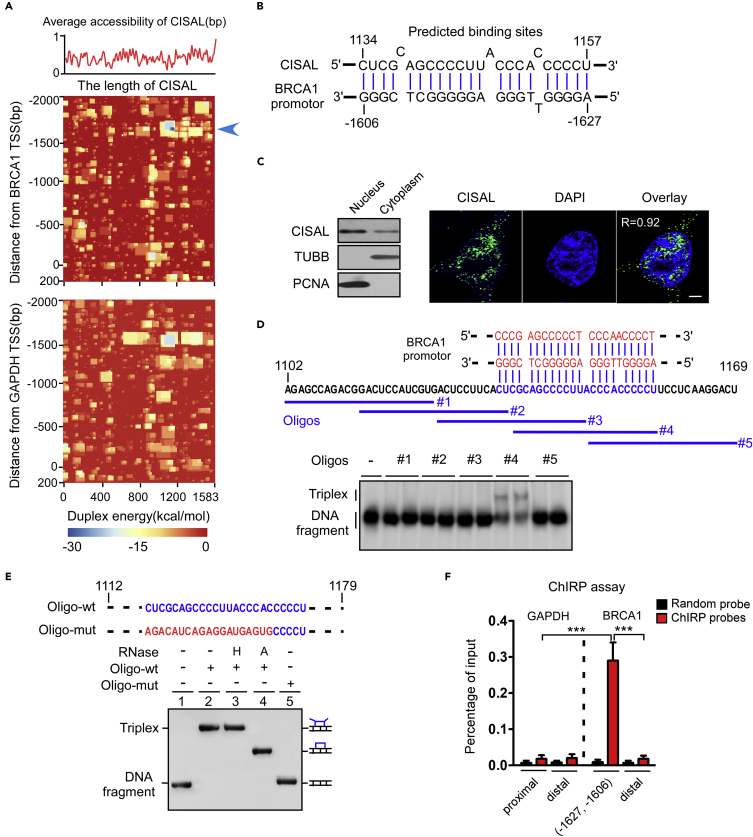 Figure 3