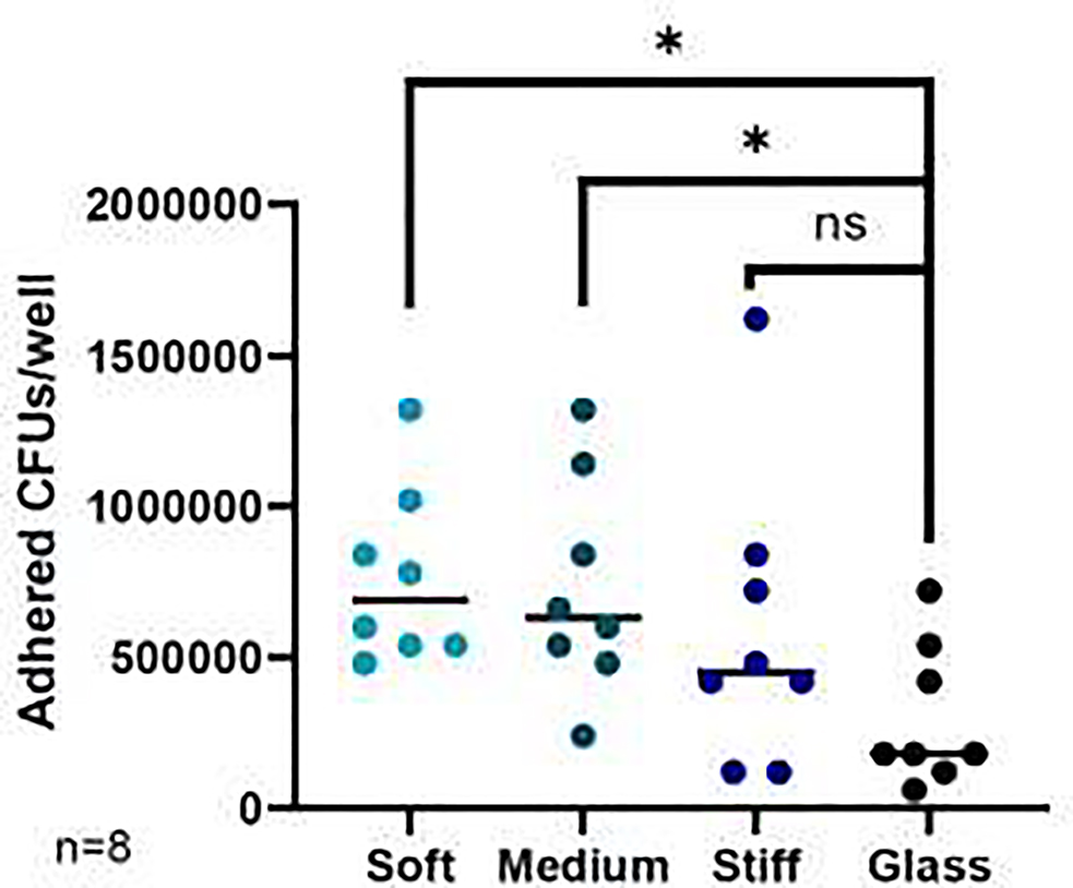 Fig. 8.