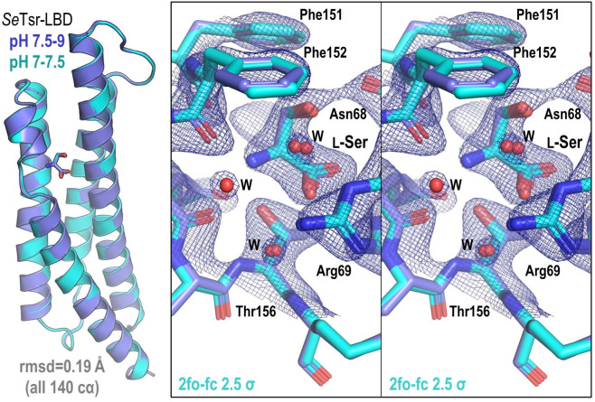 Figure 7—figure supplement 1.