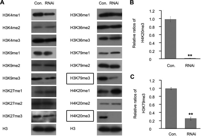 FIG 6