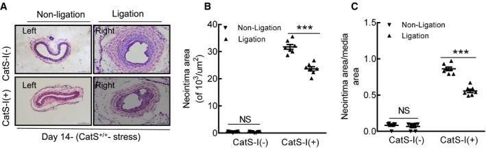 Figure 14