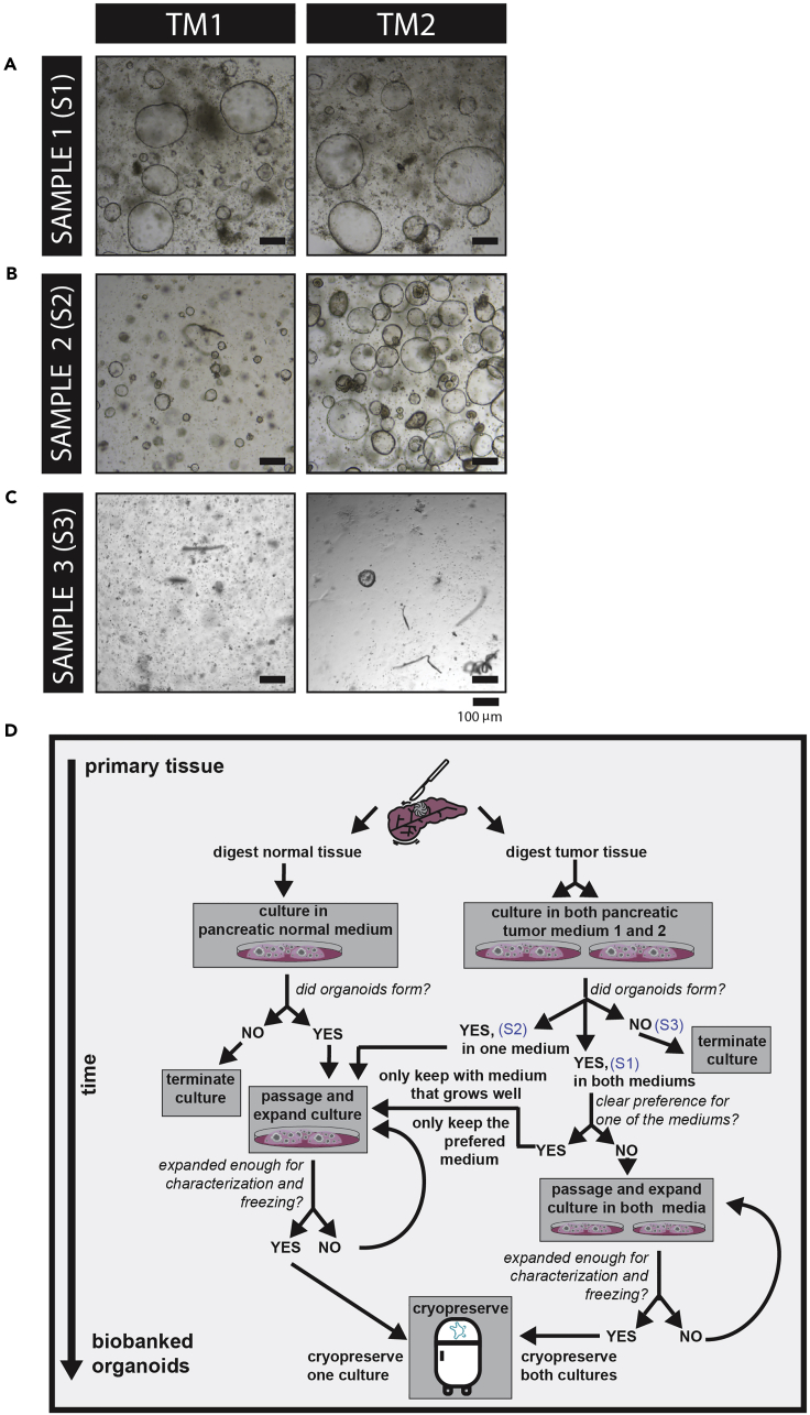 Figure 3