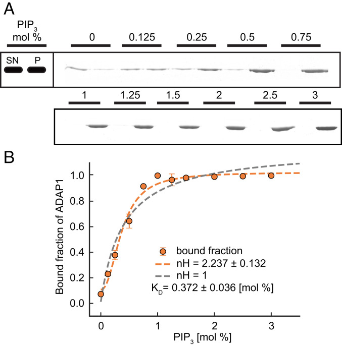 Fig. 3.