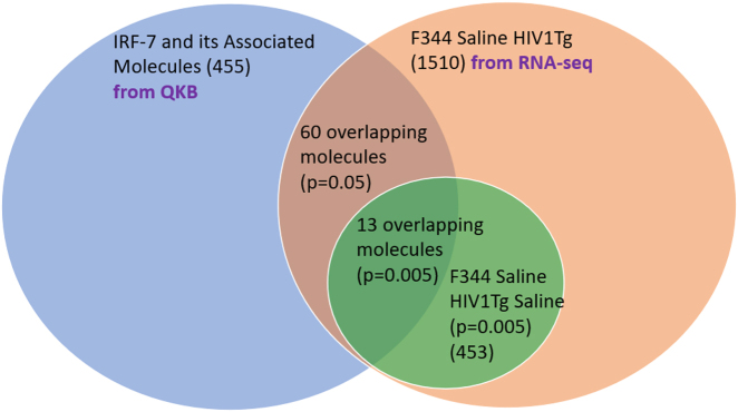 Figure 4: