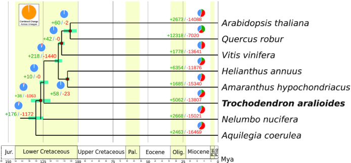 Figure 4: