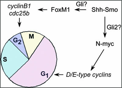 FIG. 9.