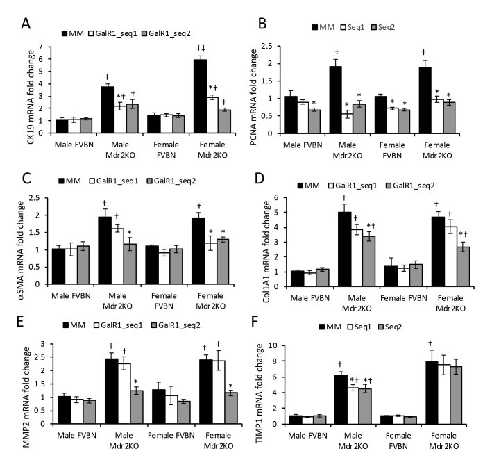 Supplemental Figure S1