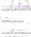 Figure 3—figure supplement 4.