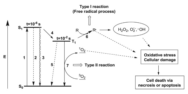 Fig. 2