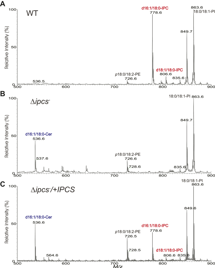 Figure 3