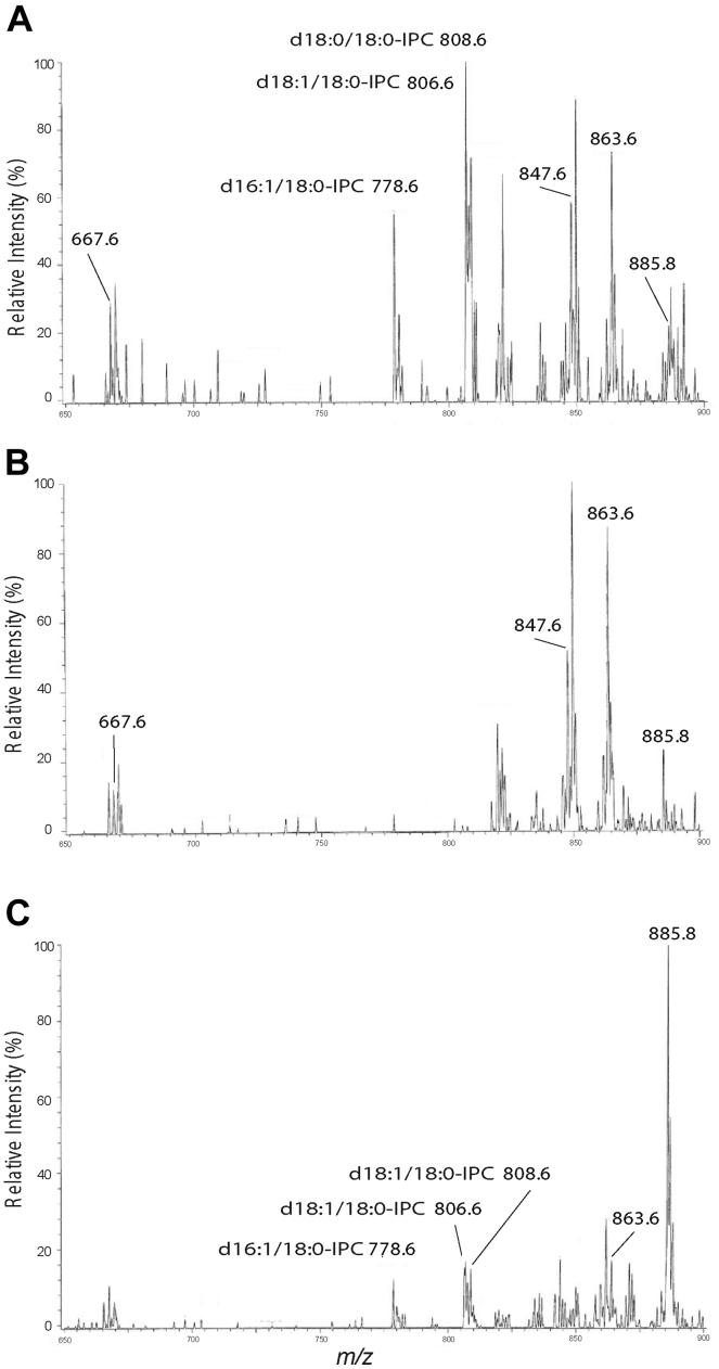 Figure 6