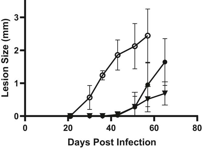 Figure 5