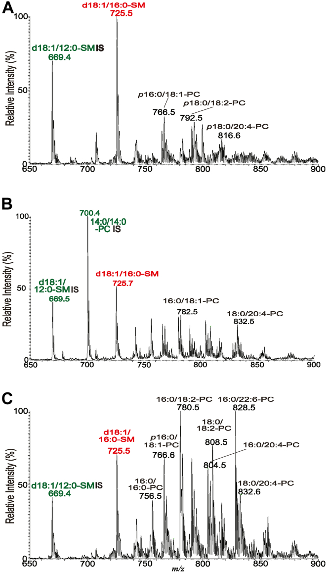 Figure 7