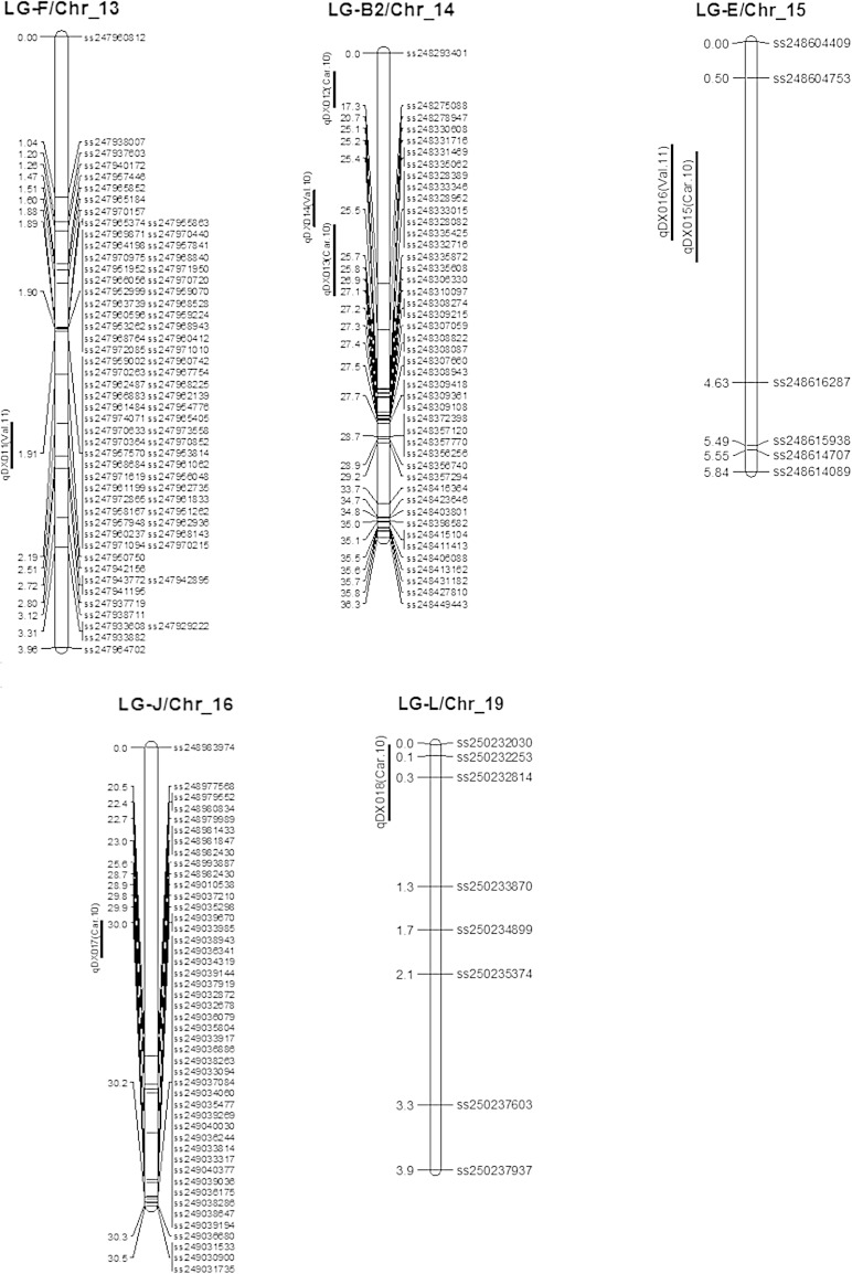 Fig. 2