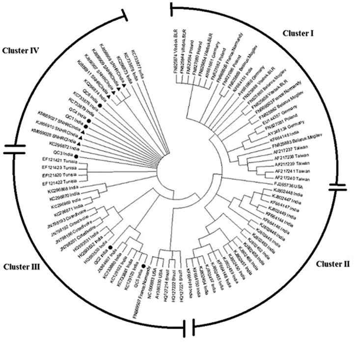 Fig. 3