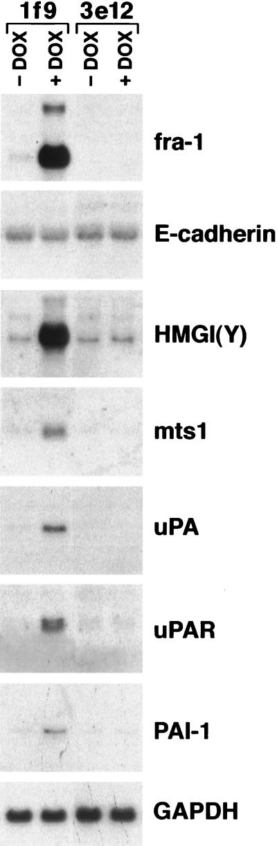 FIG. 7