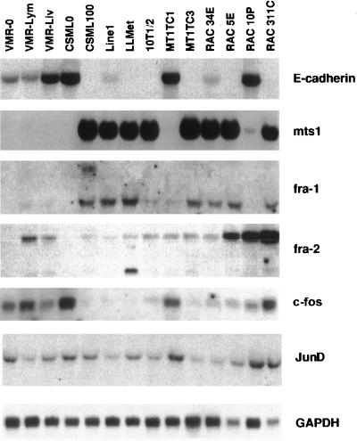 FIG. 5