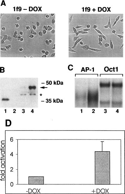 FIG. 6