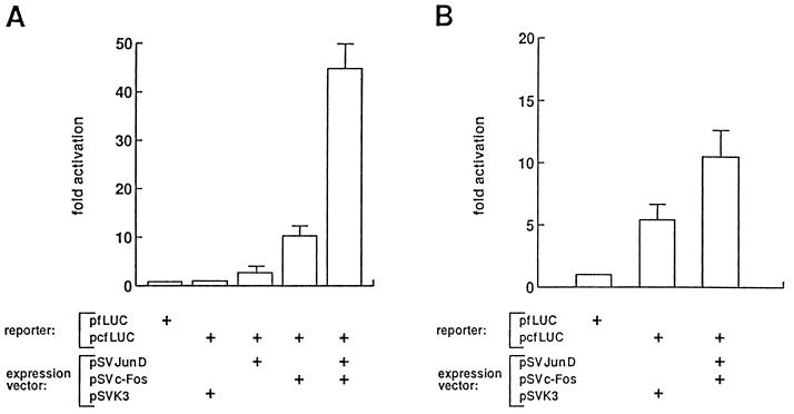 FIG. 4