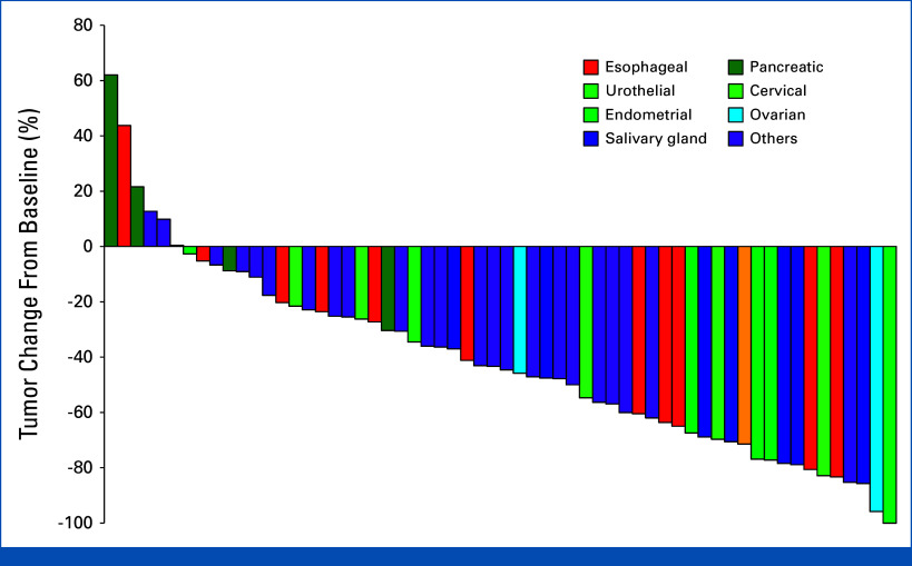 FIG 1.