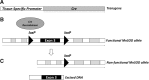 <b>FIG. 2.</b>