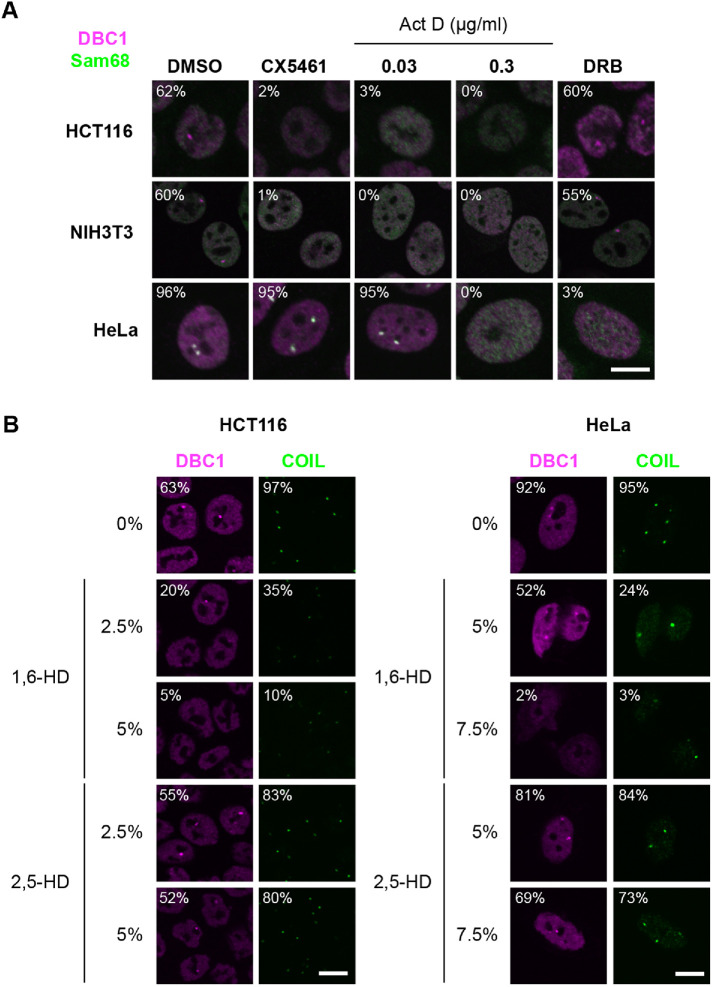 FIGURE 1: