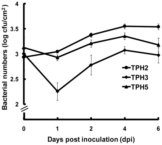 Figure 6