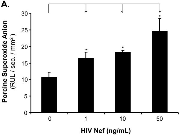 FIG. 5