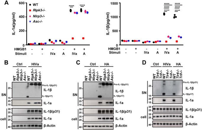 Figure 6.