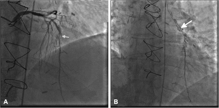 Figure 1