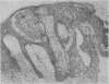 248
