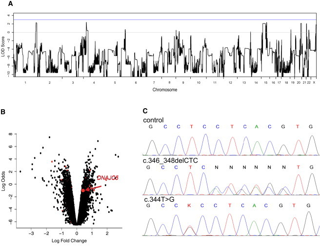 Figure 2