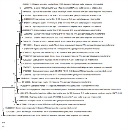 Fig. 3.