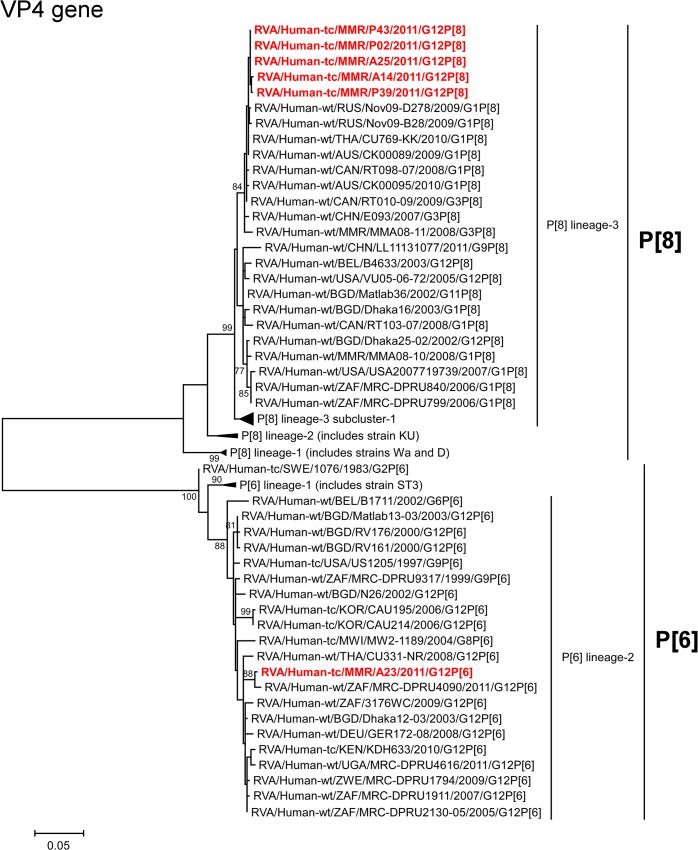 Fig 4