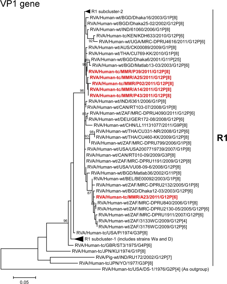 Fig 6