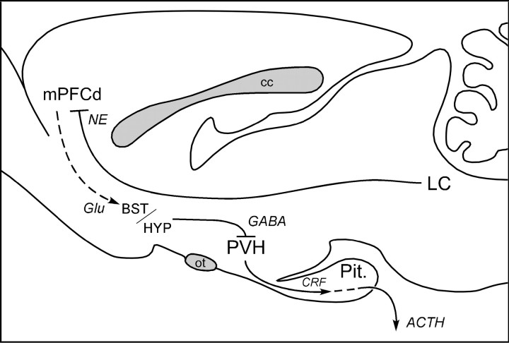 Figure 8.