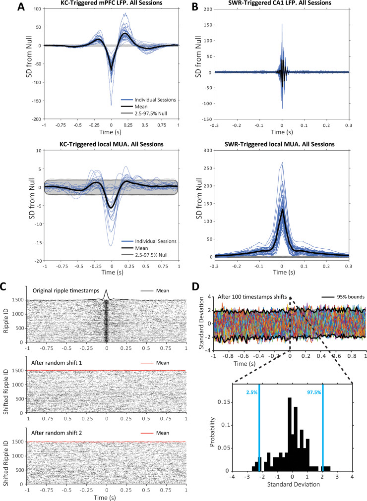 Figure 1—figure supplement 4.