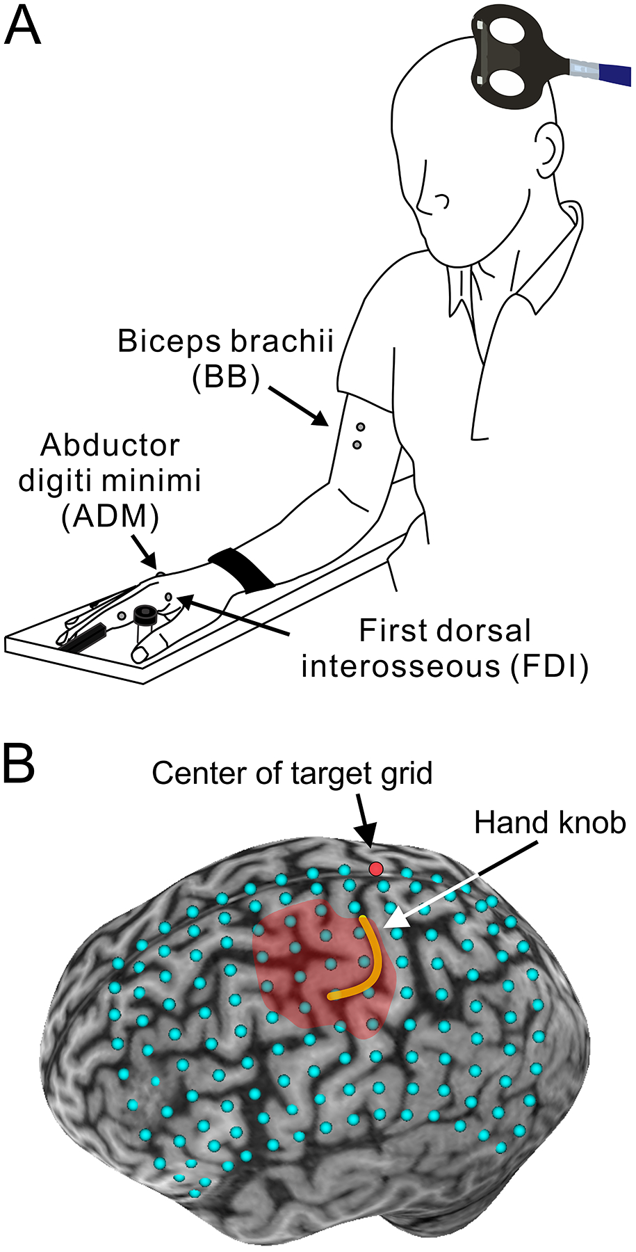 Figure 1.