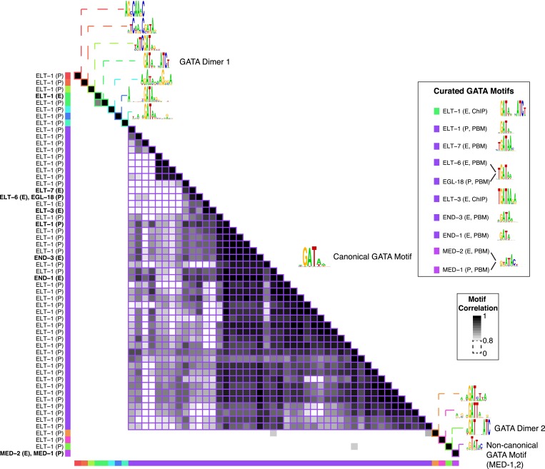 Figure 2—figure supplement 5.