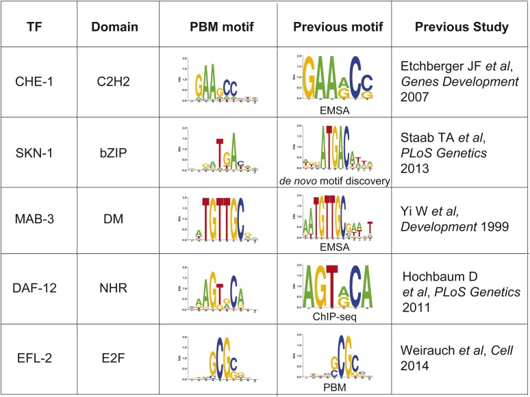 Figure 1—figure supplement 1.