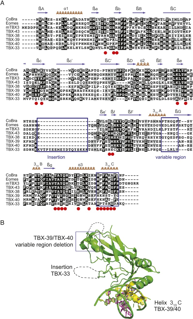 Figure 6—figure supplement 1.