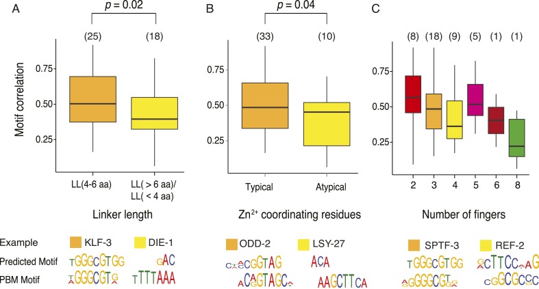 Figure 5—figure supplement 1.