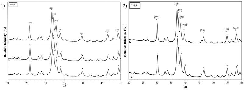 Starch-Hydroxyapatite Composite Bone Scaffold Fabrication Utilizing a ...