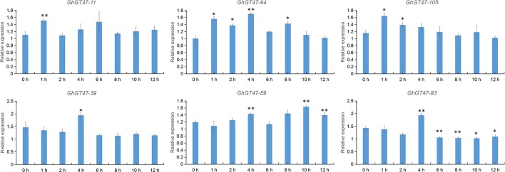 Figure 10