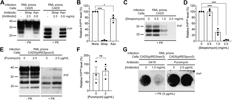 Figure 5